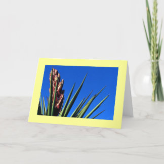 Cartão "Mandioca #1 "