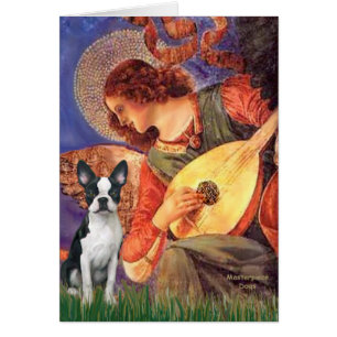 Cartão Mandolin Angel - Boston Terrier #1