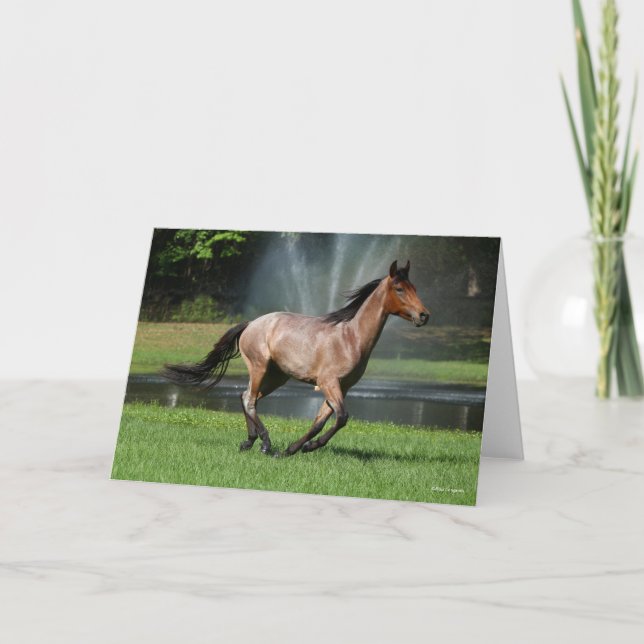 Cartão Mangalarga em frente à fonte (Frente)