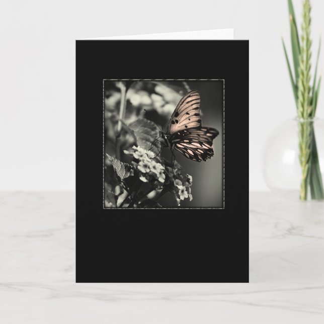 Cartão Manhã (Frente)