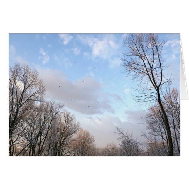 Cartão Manhã de inverno I (Frente Horizontal)