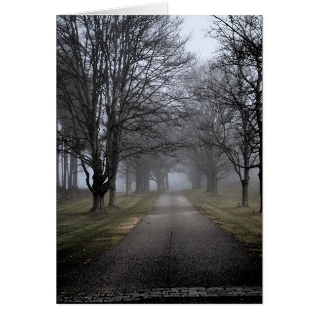 Cartão Manhã enevoada em Maine (Frente)