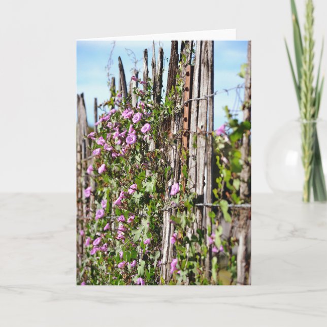 Cartão Manhã Flores Gloriosas Placas de Escritura Hebraic (Frente)