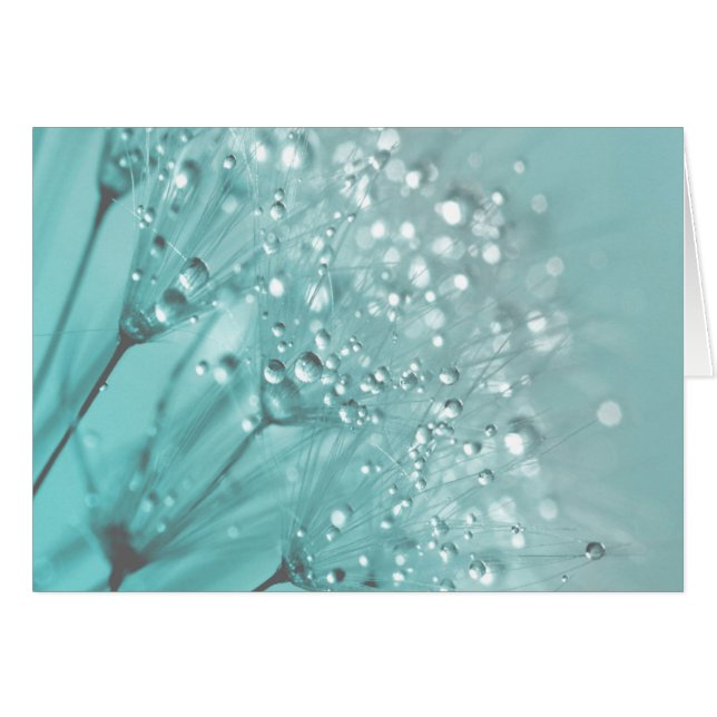 Cartão Manhã Freshness (Frente Horizontal)