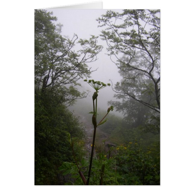 Cartão Manhã Mística (Frente)