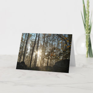 Cartão Manhã na Pensilvânia Woods