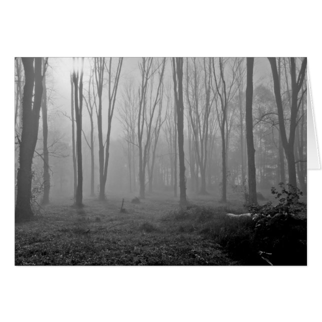 Cartão Manhã nevoenta (Frente Horizontal)