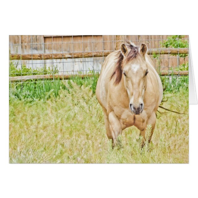 Cartão Manhã Preguiçosa (Frente horizontal)