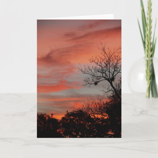 Cartão Manhã Sky (Frente)