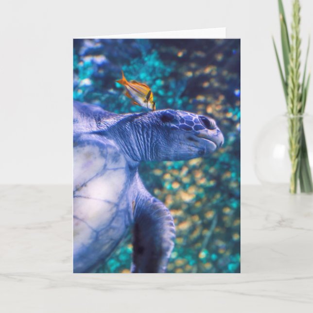 CARTÃO MANICHÃO DA TURTEIRA DO MAR (Frente)