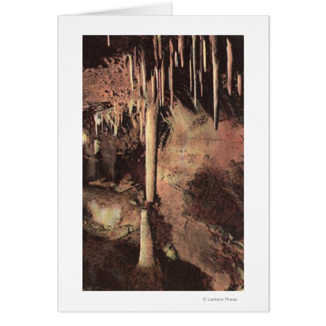 Cartão Manitou Primaveras, Colorado 2 (Frente)