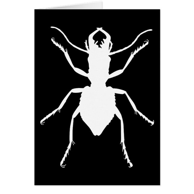 Cartão Manticora tuberculata (Frente)