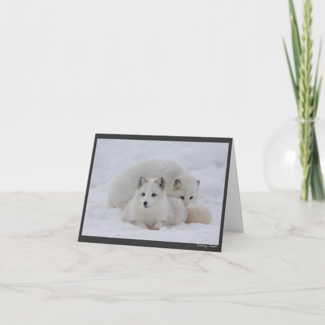 Cartão Mantimento morno (Frente)