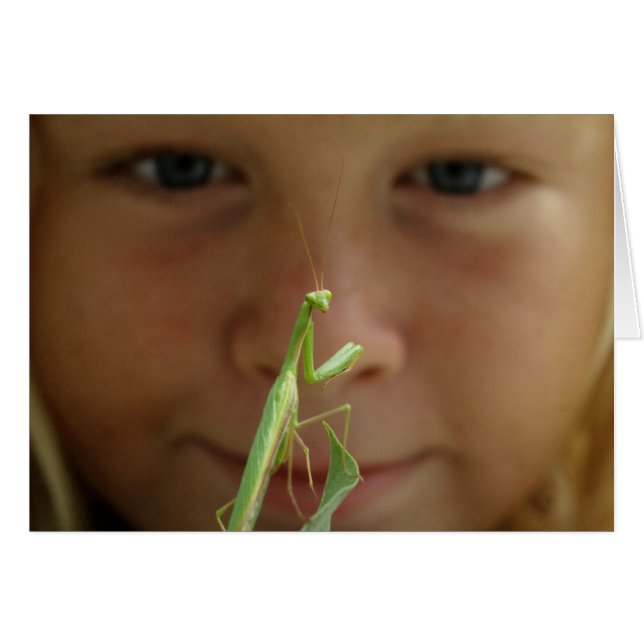 Cartão Mantis religiosa (Frente Horizontal)