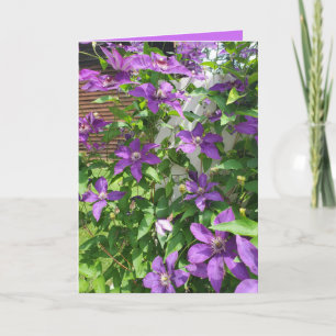 Cartão Manto Floral de Clematite Roxa Bonita