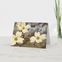 Manuscrito Casual Obrigado Dogwood Blossoms