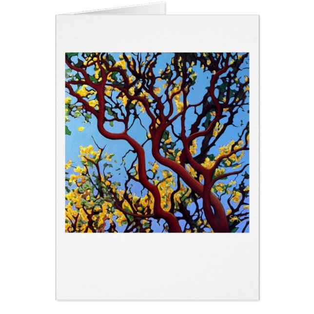 Cartão Manzanita no outono (Frente)