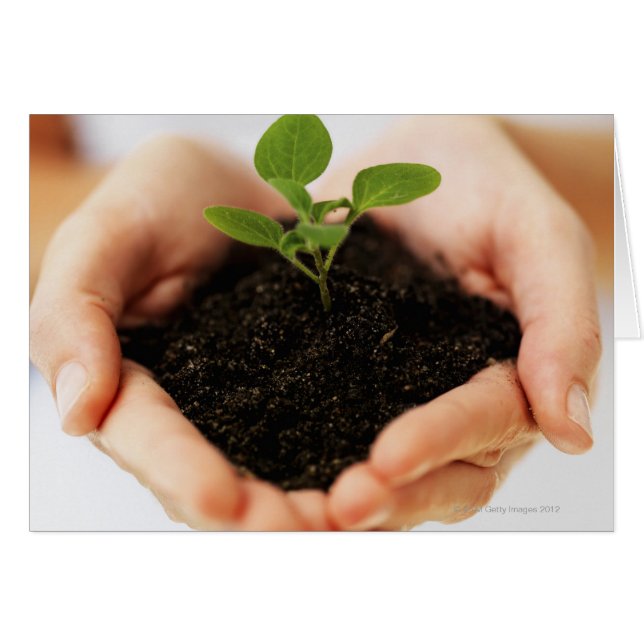 Cartão Mãos recheadas (Frente Horizontal)