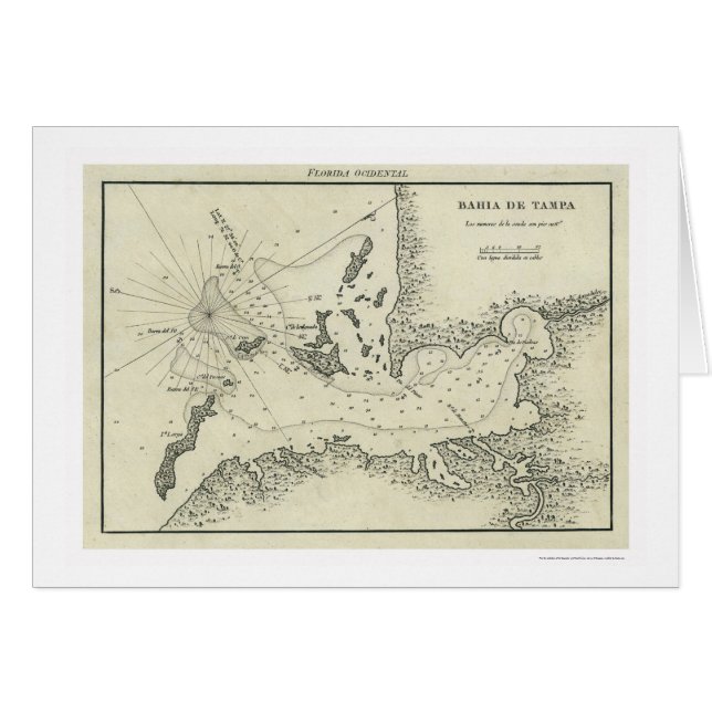 Cartão Mapa 1809 de Baía De Tampa Florida (Frente Horizontal)