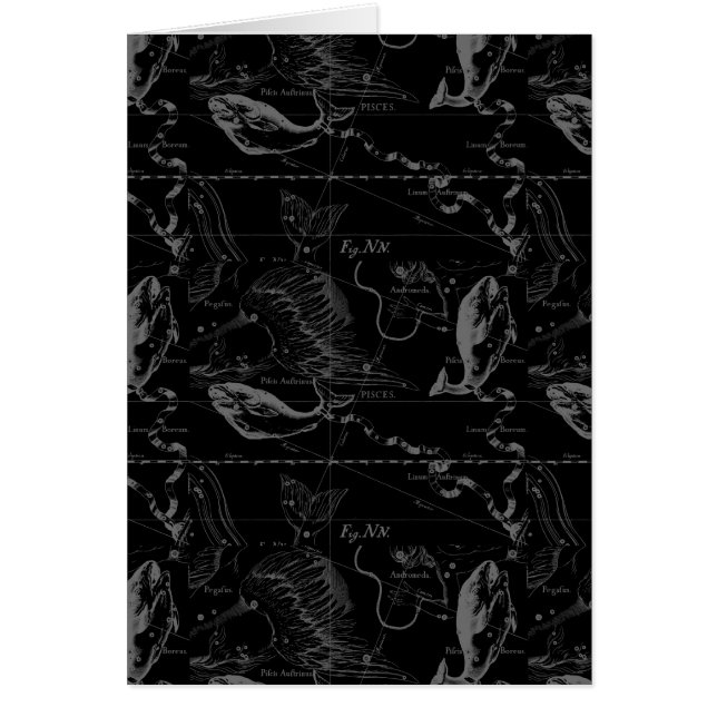 Cartão Mapa da constelação dos peixes por Hevelius 1690 (Frente)