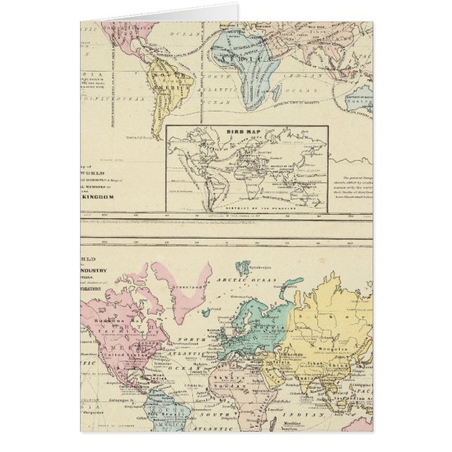 Cartão Mapa da cor do Mundo (Frente)