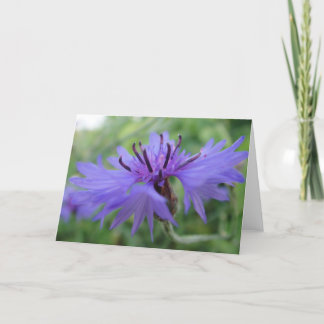 Cartão Mapa de saudação azul Kornbluenblüte, em vazio