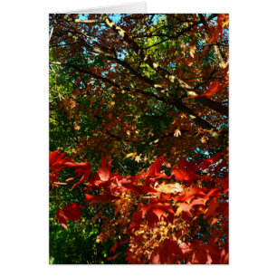 Cartão Mapeamento Japonês no outono