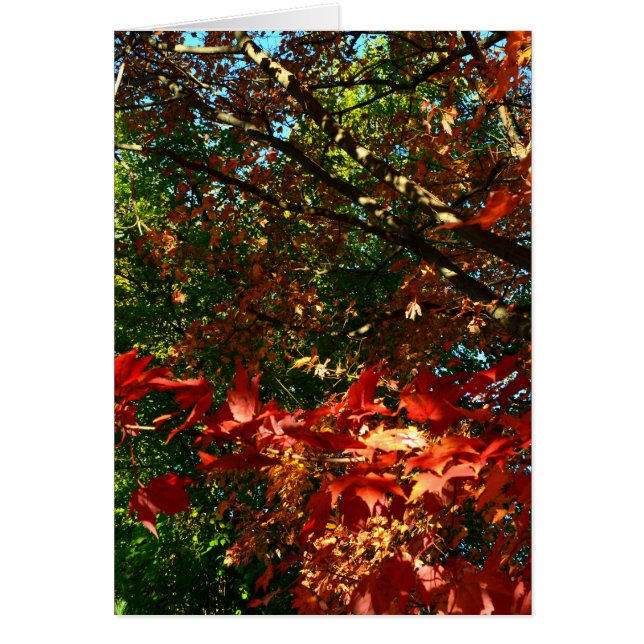 Cartão Mapeamento Japonês no outono (Frente)