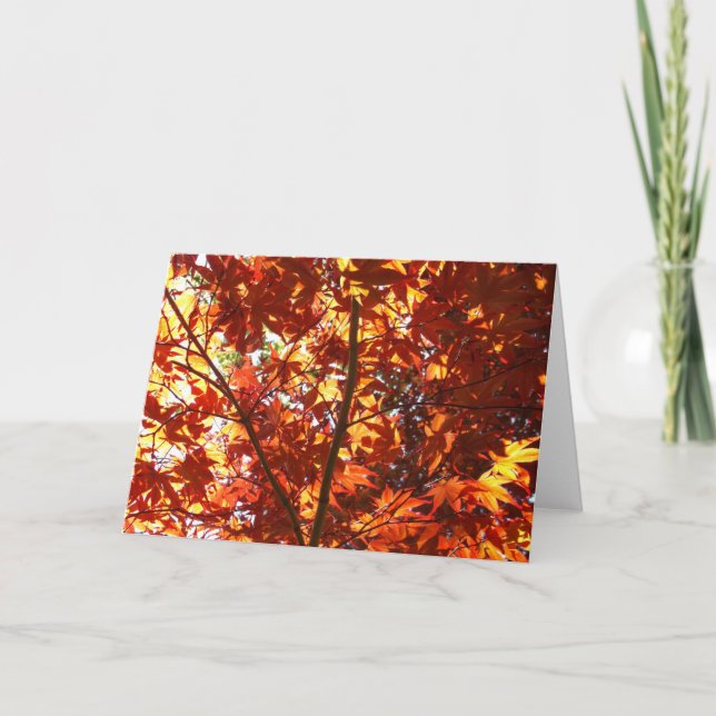 Cartão Mapeamento Japonês no Sol (Frente)