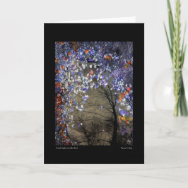 Cartão Mapeamentos mistos em uma Piscina de outono