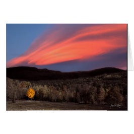 Cartão Maple Ablaze no Sunset