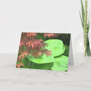 Cartão Maple N' Hosta Note Cards