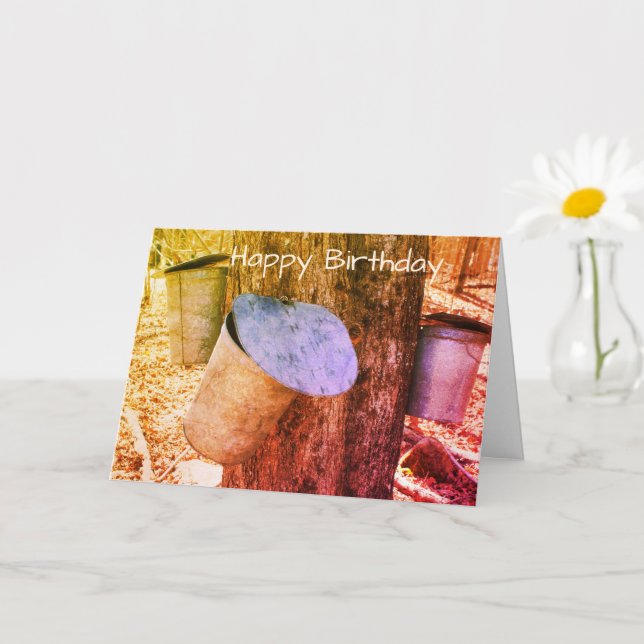 Cartão Maple Syrup Sap Baldes Na Placa De Aniversário Da  (Planta pequena)