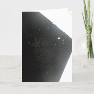 Cartão "Maplewood Spider" Consiga Bem Card