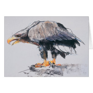 Cartão Mar Eagle atado branco 2001