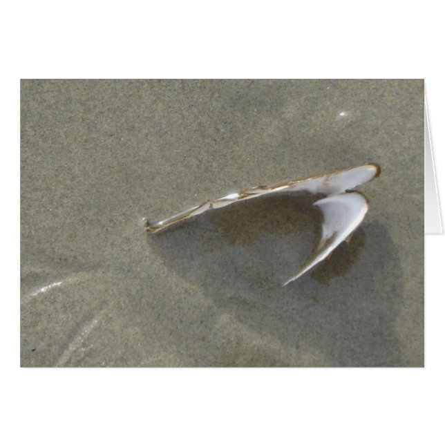 Cartão Mar enterrado Shell (Frente Horizontal)