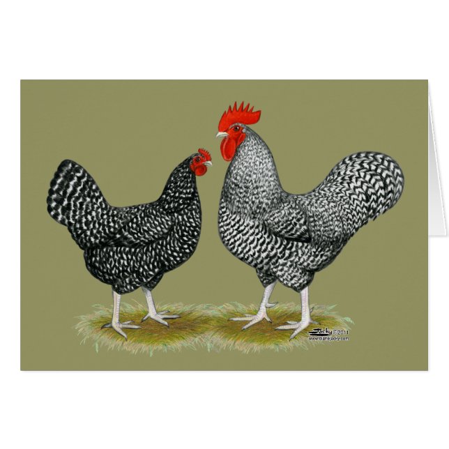Cartão Marans: Cuckoo Pair (Frente horizontal)