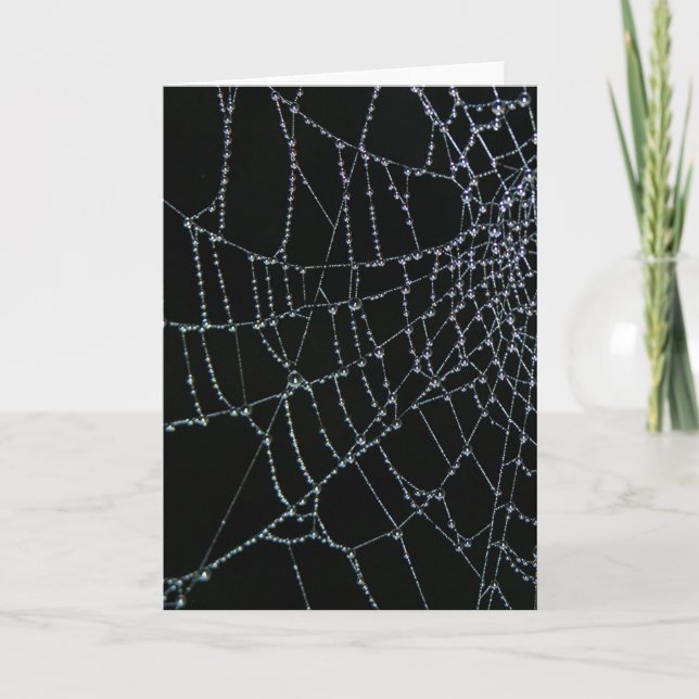 Cartão Maravilha da Web (Frente)