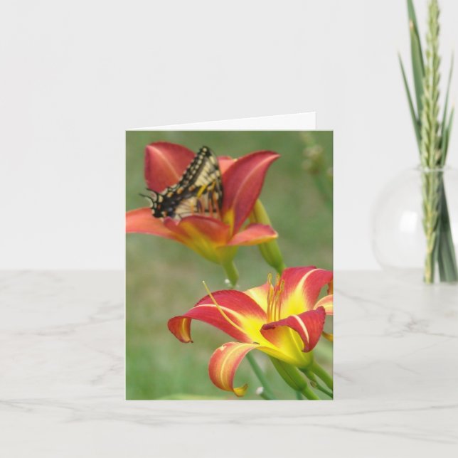 Cartão Maravilhas além (Frente)