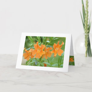 Cartão Maravilhoso Mimulus Notecard