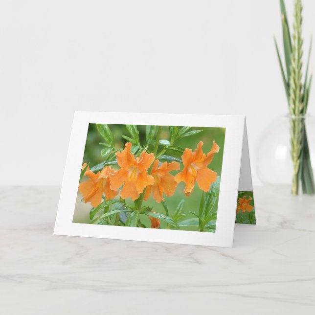 Cartão Maravilhoso Mimulus Notecard (Frente)
