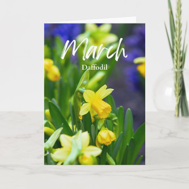 Cartão Março Amarelo Daffodil Nascimento Mês Flor Anivers (Frente)