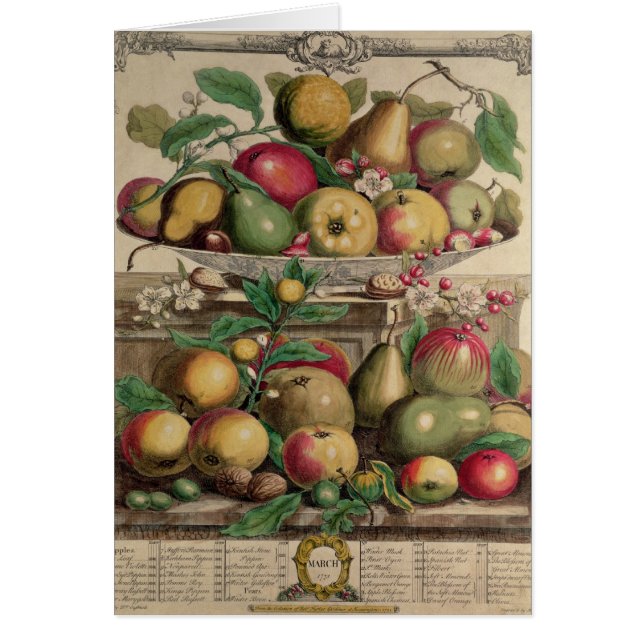 Cartão Março, 'de doze meses das frutas (Frente)