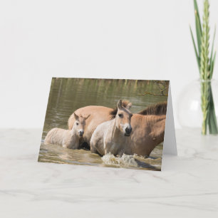 Cartão Mare com Foal Cruzando um Rio