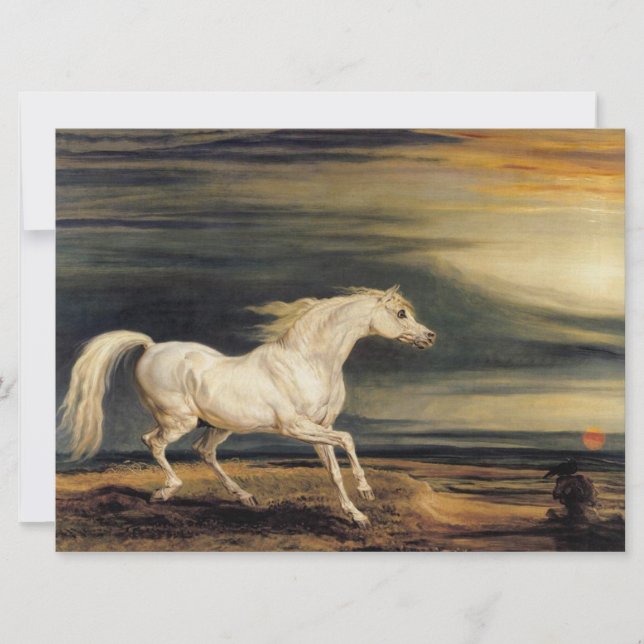 Cartão Marengo, o Cavalo Branco (Frente)