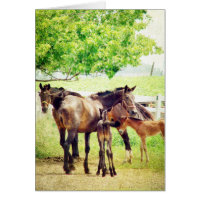 Mares e Pés