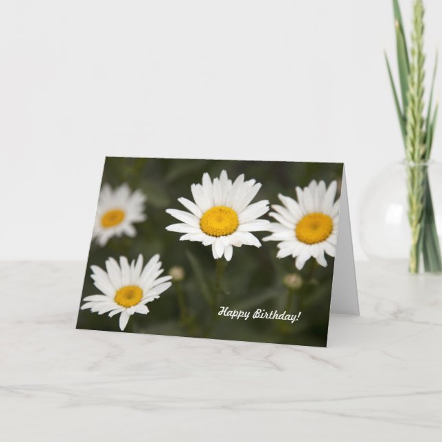 Cartão Margarida da margarida (Frente)