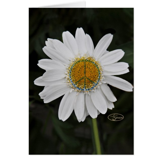 Cartão margarida da paz (Frente)