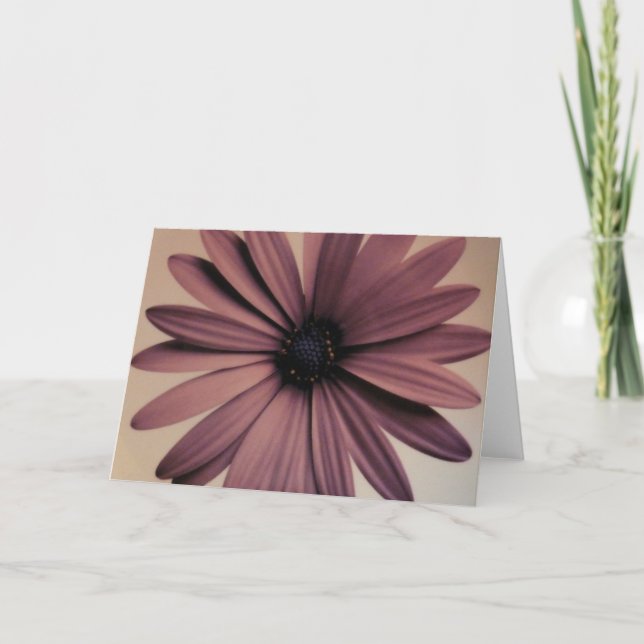 Cartão Margarida de Lavendar (Frente)