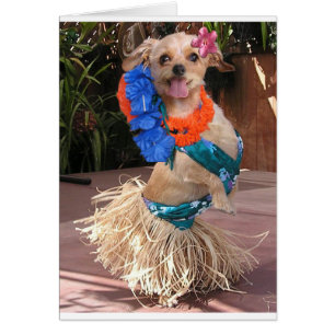 Cartão Margarida II - Margarida de Hula